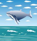 Cartoon Ocean Whale