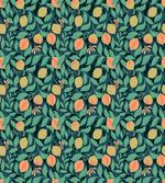 Citrus Leaf Botanical Art artwork