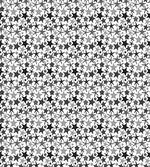 Monochrome Starfish