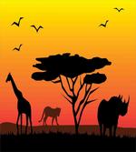 Silhouette of Animals