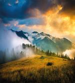 Misty Mountaintops