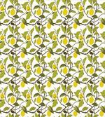 Bloomeless Lemon Tree