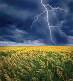 Thunder Bolt Rural Field