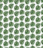 Palm Leaves Nature