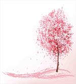 Far East Sakura Bloom