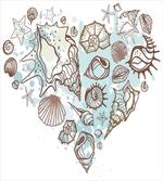 Scallop Starfish Whelk