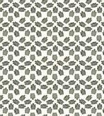 Ornate Tortoise Pattern
