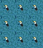 Blue Eyed Toucan artwork