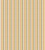 Colorful Fashion Stripes