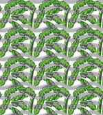 Banana Leaves Design