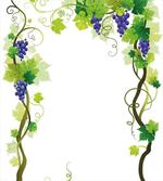 Leaf Fresh Fruit Pattern artwork