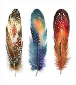 Feather Tribal