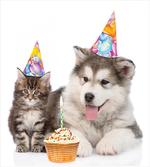Birthday Party Cones