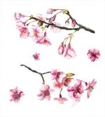 Watercolor Art Flower