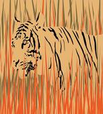 Tiger Jungle