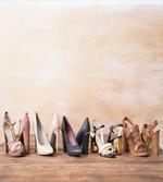 Classy Sleek Shoe Pairs