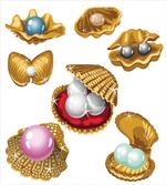 Open Shells Sea Image