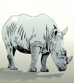 Rhinoceros Art artwork