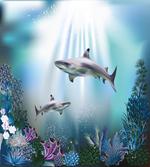 Sharks Coral Aquatic