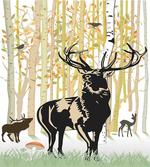 Autumn Forest Wild Animal