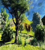 Wilderness Rural Scenery