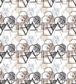 Triangles Squares Plygons