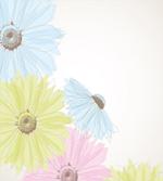 Colorful Gerbera Daisies