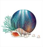 Underwater Ocean Marine