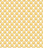 Hand Drawn Citrus Fruits