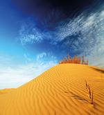 Desert Sand Dunes
