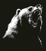 Sketch Art Carnivore Roar