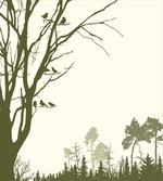 Forest Birds on Tree