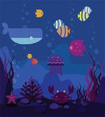 Aquarium Fish Whale