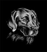 Sketch Art Retriever Puppy