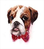 Watercolor Dog