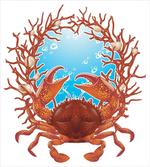 Seashells and Red Coral