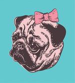 Dog with Pink Buckle