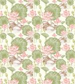 Lotus Flower Pond Lily