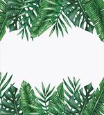 Forest Leaves Frame artwork