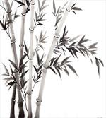 Traditional Bamboo Leaves