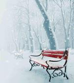 Snowy Bench Misty Path