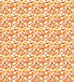Various Fall Leaves