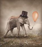 Illusionist Elephant
