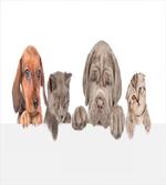 Pets Peeking over Wall