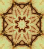 Mandala Grunge Ethnic