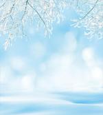 Freezing Nature Icy Tree
