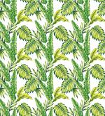 Bamboo Palms Foliage