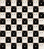 Squares with Cats
