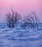 Wavy Sea During Twilight