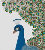 Exotic Feathers Frame